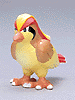 Pidgeot